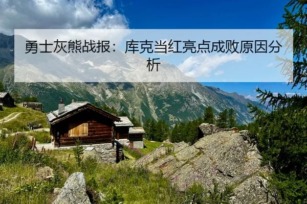 勇士灰熊战报：库克当红亮点成败原因分析（xingkongsports）
