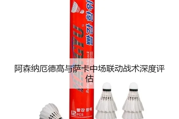阿森纳厄德高与萨卡中场联动战术深度评估 - xingkongsports